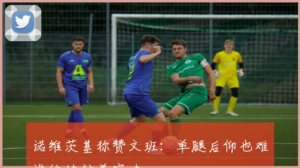 诺维茨基称赞文班：单腿后仰也难逃他的封盖实力
