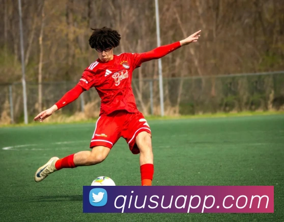 球速体育平台生态图